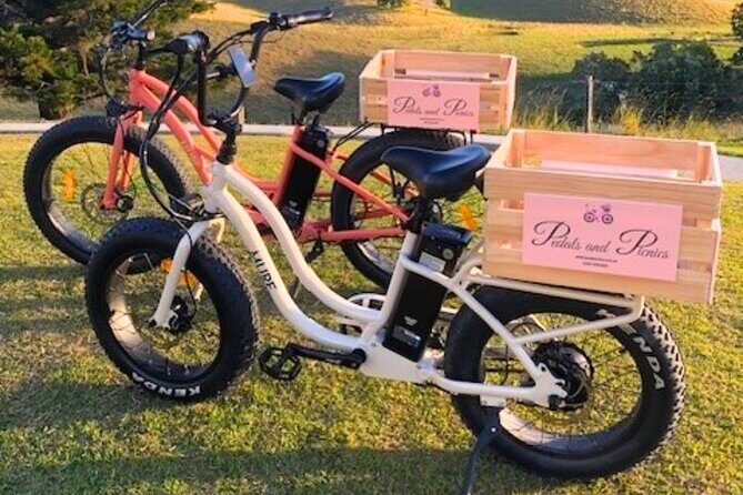 Northern Rivers Rail Trail Ebike and DIY Picnic Hire Full Day - Key Points