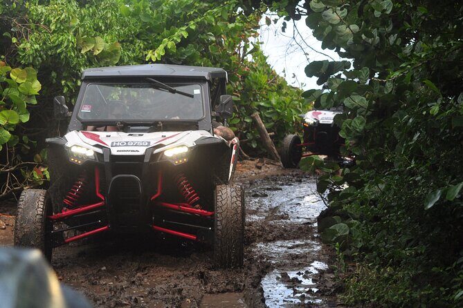 Northern Sights - Buggy in the North - Key Points