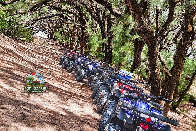Northern Trail ATV Adventure in Barbados - Who Should Consider This Tour?