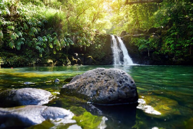 Northshore Maui: Guided Rainforest and Waterfall Walk - Discover Maui’s Rainforest and Waterfalls with a Guided Walk