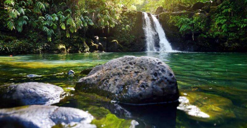 Northshore Maui: Guided Rainforest and Waterfall Walk - Key Points