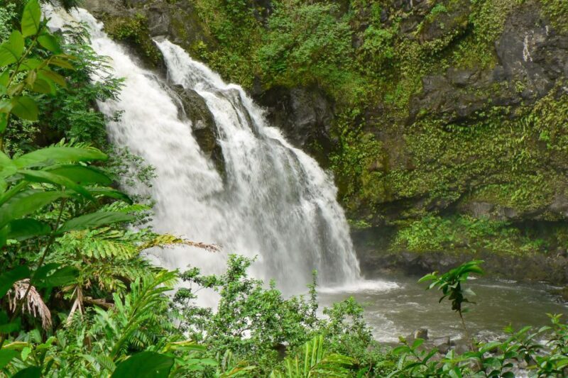 Northshore Maui: Guided Rainforest and Waterfall Walk - Why This Tour Is Worth Considering