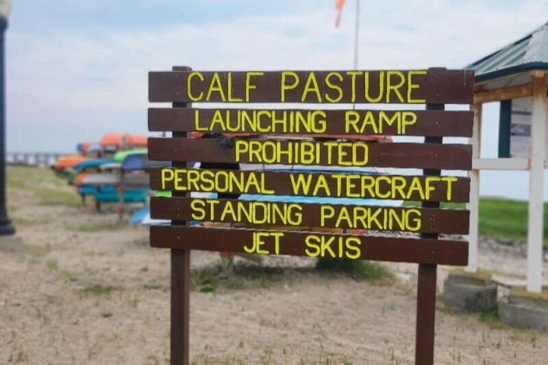 Norwalk: Paddleboard Rental at Calf Pasture Beach - Experience Overview
