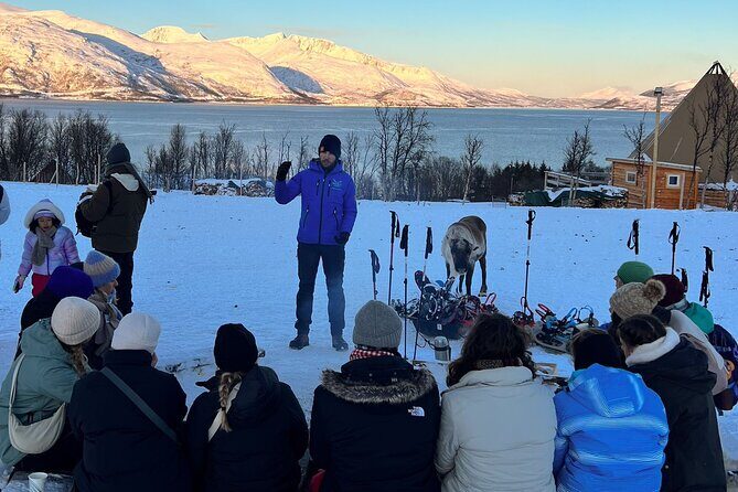Norway Troms Snowshoe Activity with Guided Tour - A Detailed Look at the Troms Snowshoe Activity with Reindeer