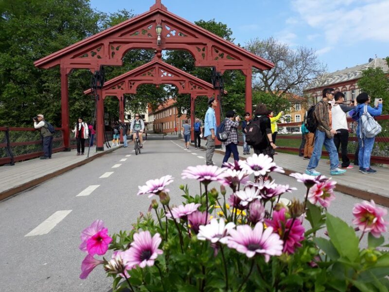 Norwegian Coastal Cities: Smartphone Audio Guide App - Who Will Love This Tour?