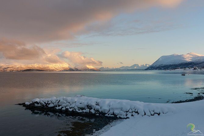 Norwegian Fjords Tour, Including Professional Photos in Tromso - Key Points