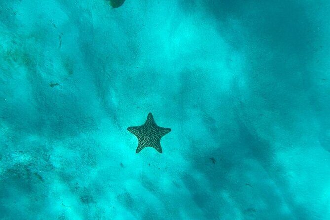 Norwegian Sky at La Romana port: Saona Island - FAQ