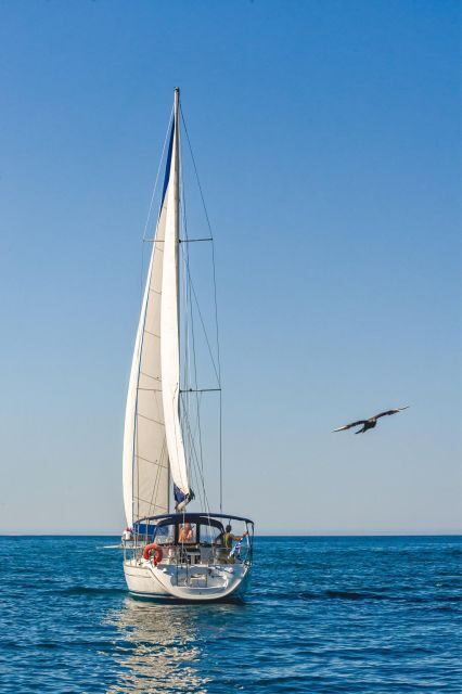 Notos half-day cruise - Final Thoughts