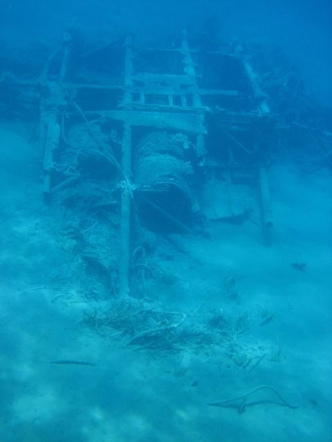 Notos half-day cruise - Similar Experiences