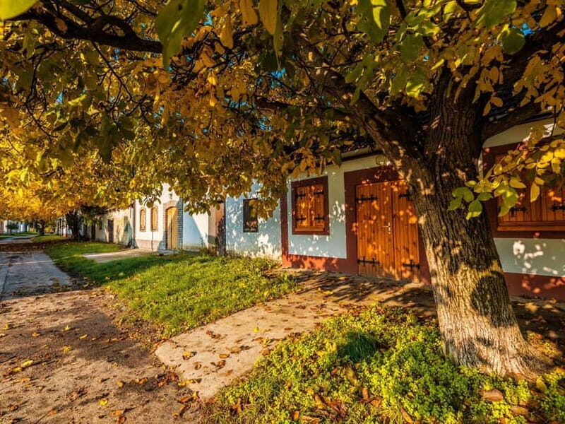 Novi Sad & Sremski Karlovci shared tour - Final Thoughts