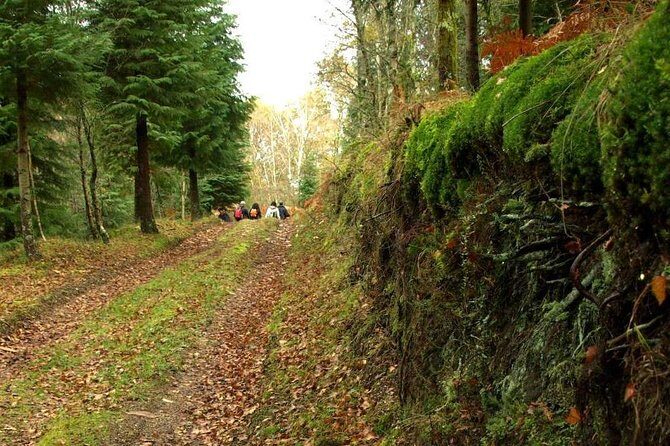 Nozzle Horn Protected Landscape Area - Key Points