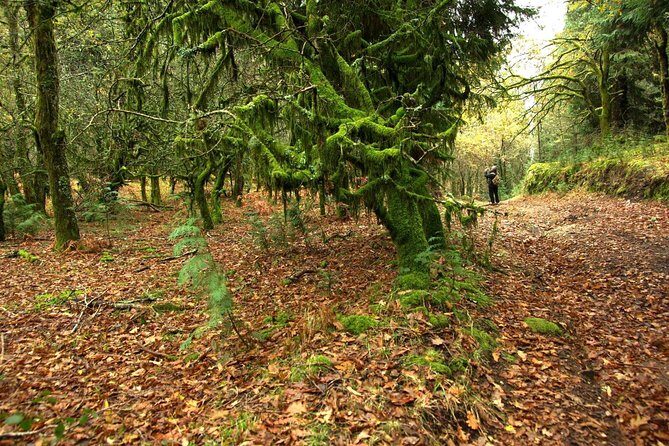 Nozzle Horn Protected Landscape Area - Final Thoughts: Is This the Right Tour for You?