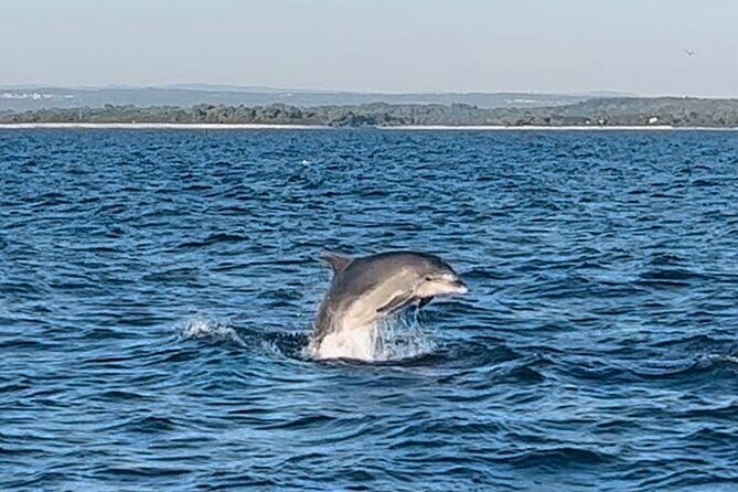 NP Brijuni Island Swimming & Dolphin Watching Sunset Cruise - A Closer Look at the NP Brijuni Island Swimming & Dolphin Watching Sunset Cruise
