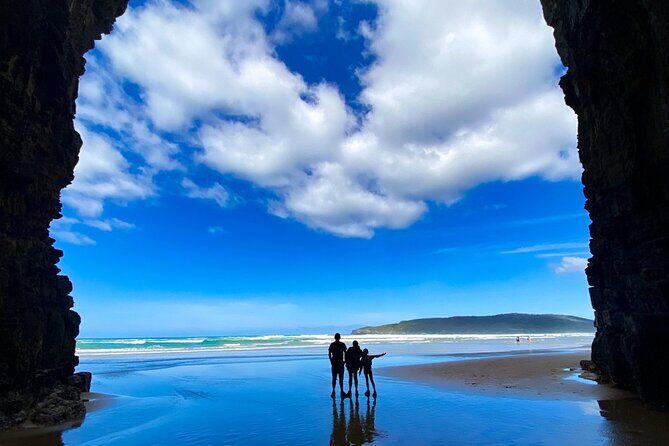 Nugget Point and Cathedral Caves Private Tour from Dunedin - An In-Depth Look at the Tour Experience