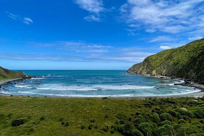 Nugget Point and Cathedral Caves Private Tour from Dunedin - The Sum Up