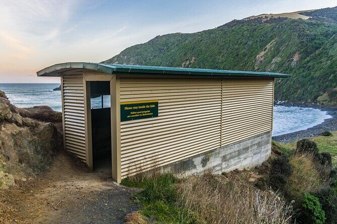 Nugget Point and Cathedral Caves Private Tour from Dunedin - FAQ