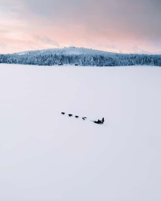Nulkki Husky Adventure - Who Will Love This Tour?