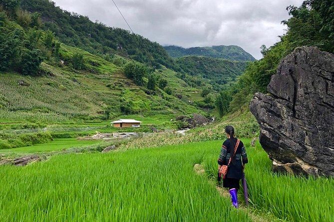 Number one top rated ethical cultural trekking and homestay by ETHOS - Exploring the Sapa Trek with ETHOS: An In-Depth Review