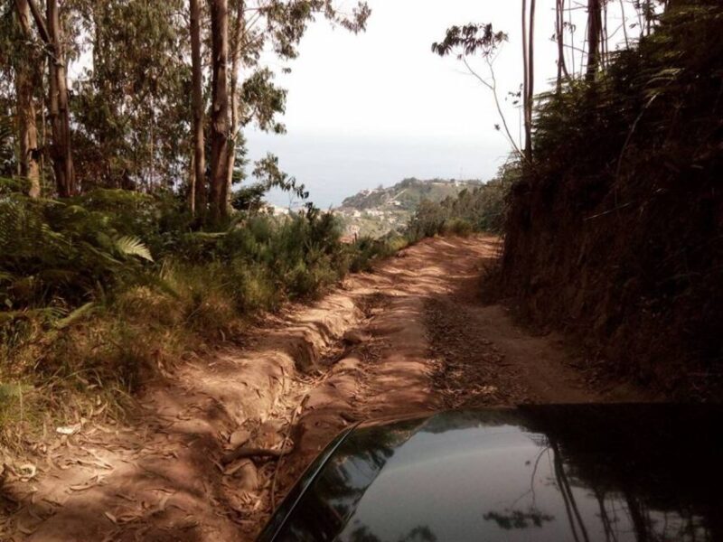 Nuns Valley Half Day Trip 4x4 Jipe Tour - Introduction: An Adventure into Madeira’s Hidden Corners