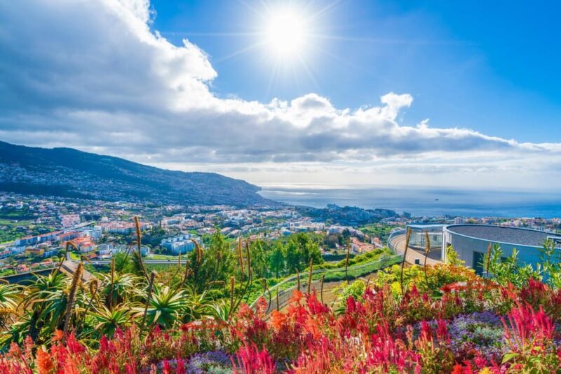 Nun's Valley & Pico dos Barcelos Madeira Island Tour - Why Choose This Tour?