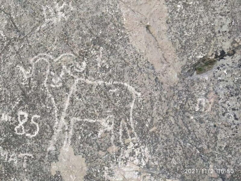 Nuratau Mountain Villages Tour on 3 Days from Bukhara. - FAQs