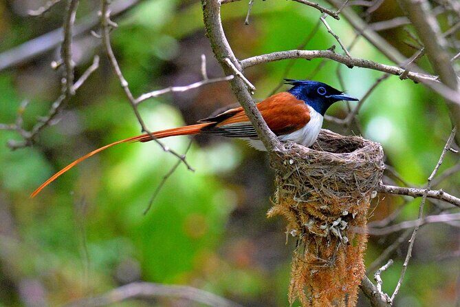 Nuratau Village Home Stay and Hiking tours from Bukhara - An in-depth look at the Nuratau Village Home Stay and Hiking Tour