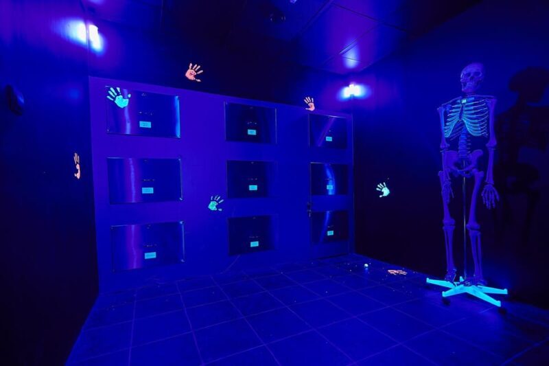 Nürnberg: Secret Surgery Escape Room Game - Key Points