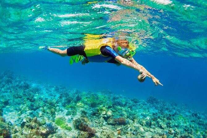 Nusa Lembongan Island: Snorkeling & Mangrove Forest Day Tour - Why This Tour Works for Travelers