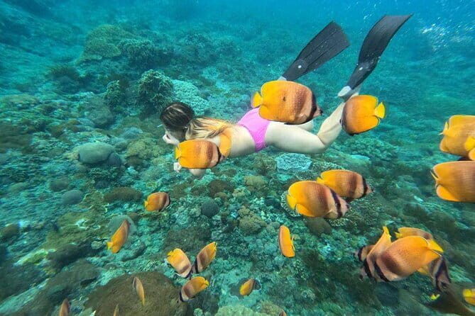 Nusa Lembongan Snorkeling with Manta Bay & Island Tour from Bali - An In-Depth Look at the Nusa Lembongan Snorkeling Tour