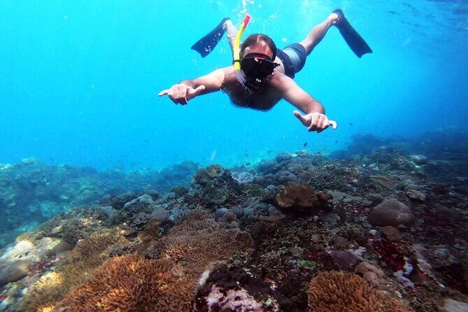 Nusa Penida 4 Spot Snorkeling with Manta and Island Tour - An In-Depth Look at the Nusa Penida Experience