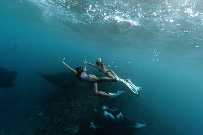 Nusa Penida by Private Boat - Snorkeling 4 spots, Swim with Mantas + Land Tour - Key Points