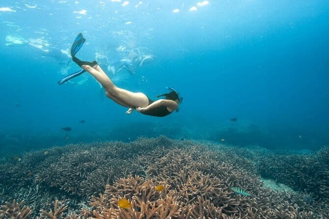 Nusa Penida Day Trip with Snorkeling Package - Who is this tour best for?