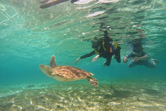 Nusa Penida & Gili Trawangan 3Days 2Night (Snorkeling) - Frequently Asked Questions