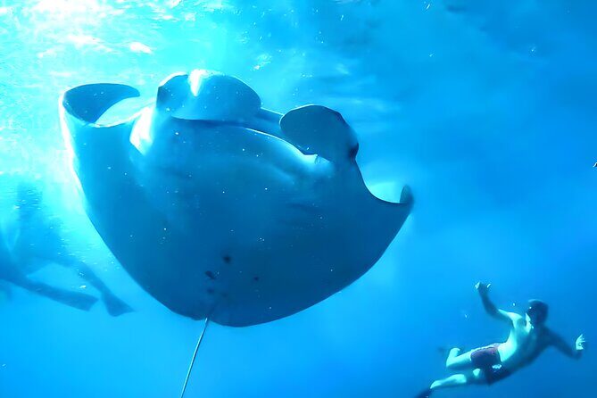 Nusa Penida Island Beach Tour With Snorkeling - Departure From Bali Island - Key Points