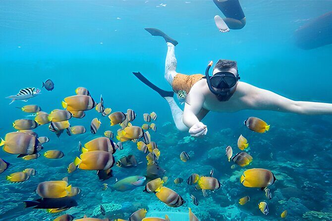 Nusa Penida Island Beach Tour With Snorkeling - Departure From Bali Island - FAQs