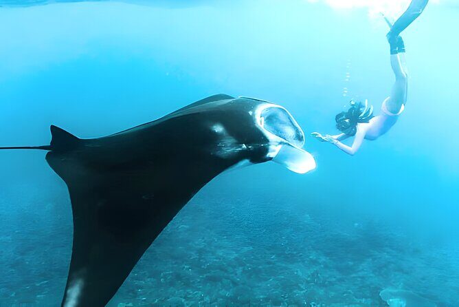 Nusa Penida Island Beach Tours with Snorkeling From Bali - Key Points