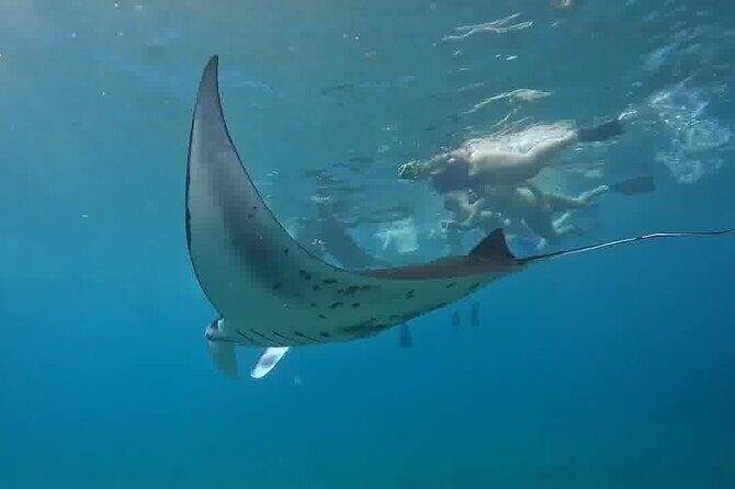 Nusa Penida Land Tour and 4 Points Snorkeling with Manta - Discover the Wonders of Nusa Penida and Manta Snorkeling in a Full-Day Adventure