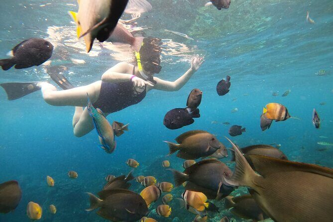 Nusa Penida Land Tour and 4 Points Snorkeling with Manta - The Sum Up: Why You Should Consider This Tour