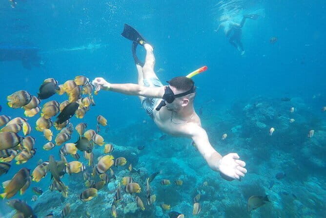 Nusa Penida Snorkling Package - Nusa Penida Snorkeling Package: A Close Encounter with Bali’s Marine Wonders