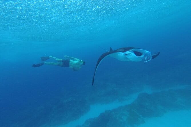 Nusa Penida Snorkling Package - Frequently Asked Questions