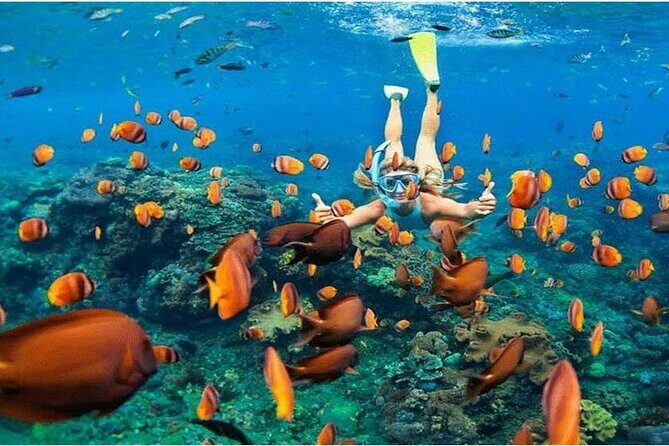 Nusa Penida Trip with Snorkeling all-Inclusive - Nusa Penida Trip with Snorkeling all-Inclusive: A Balanced Look at an Indonesian Gem