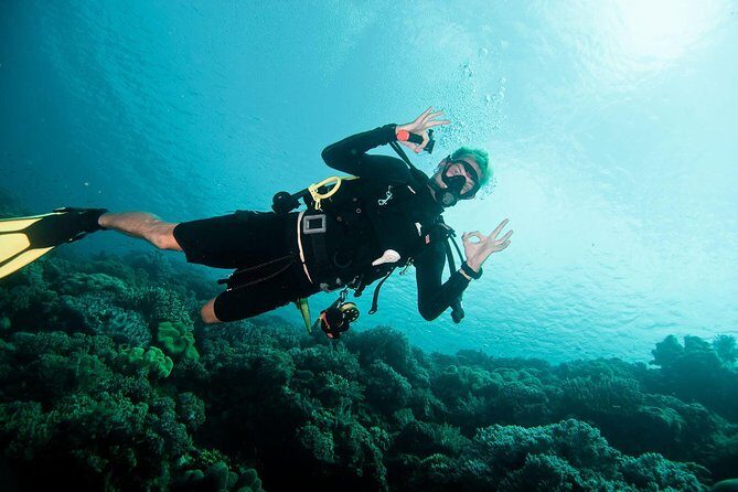 Nusa Penida Two Dives Trip for Certified Divers - Key Points