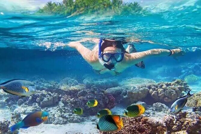 Nusa Penida West trip with snorkeling at 3 spot with Free Meals - Discovering Nusa Penida: A Full-Day Adventure for Curious Travelers