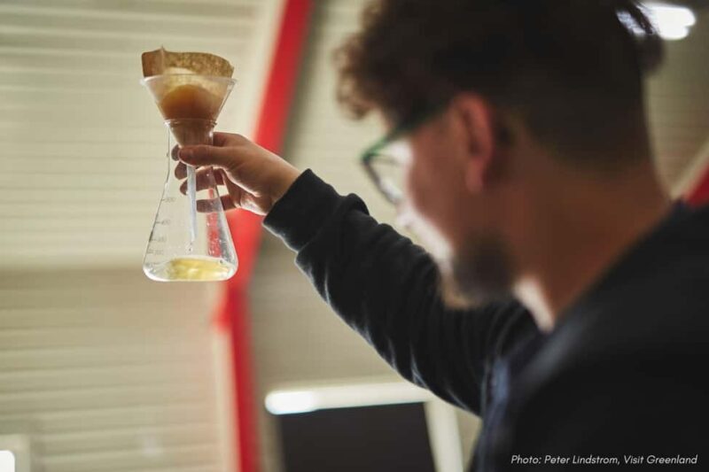 Nuuk: Greenlandic Beers, Burgers and Samplers Tasting Tour - Who Will Enjoy This Tour?