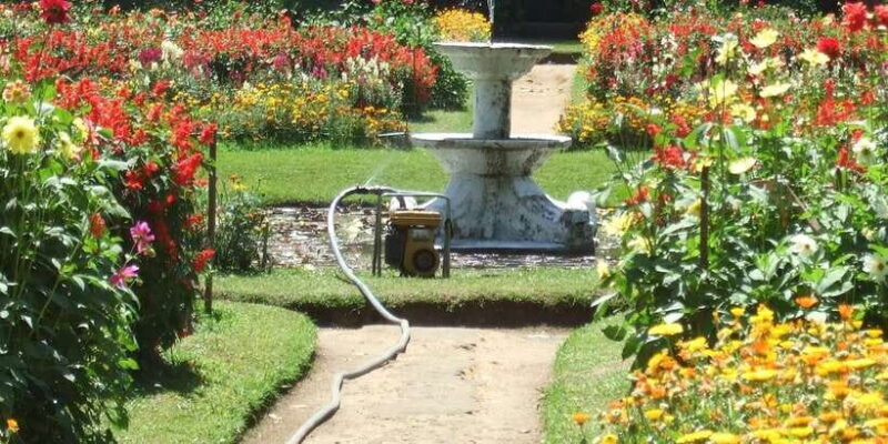 Nuwara Eliya: All-Inclusive Private Sightseeing Day Tour - An Inviting Day in Nuwara Eliya: Exploring Little England with Beyond Escapes