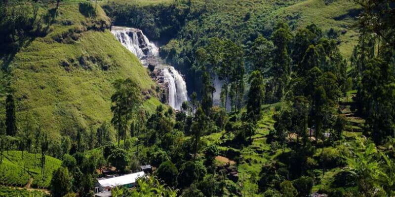 Nuwara Eliya: All-Inclusive Private Sightseeing Day Tour - The Sum Up