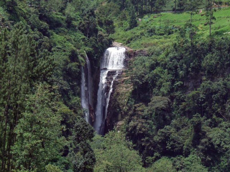 Nuwara Eliya: All-Inclusive Private Sightseeing Day Tour - FAQ