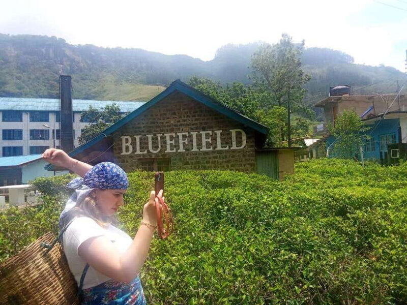 Nuwara Eliya Full day: 5Waterfalls, 2Tea Test & pick by TUK - Final Thoughts