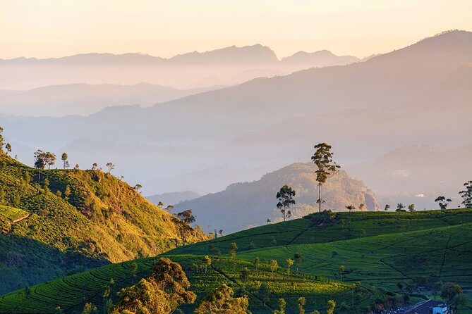 Nuwara Eliya Highlands from Kandy - The Journey Begins in Kandy