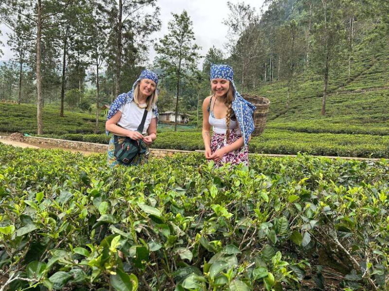 Nuwara Eliya: Private Sightseeing Tuk-Tuk Tour - What Travelers Can Expect